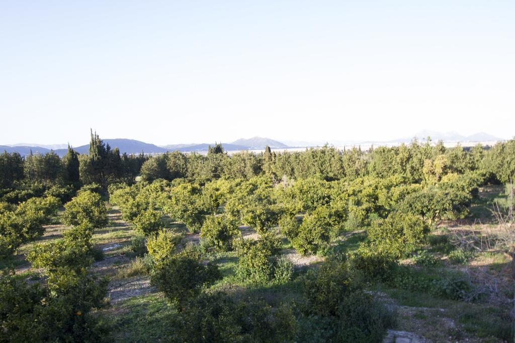 Mon Boutique Hotel Pollenca Bagian luar foto